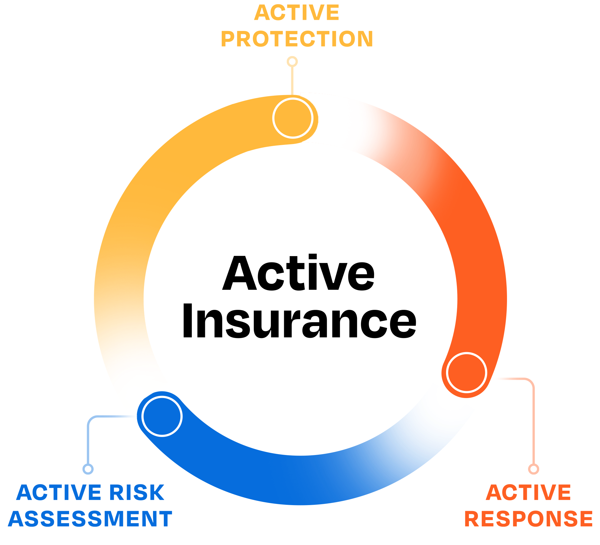 Graphic of Coalition Active Insurance elements